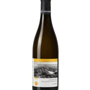 Luccicante Vermentino Colline di Levanto 2025 Ca du Ferrà
